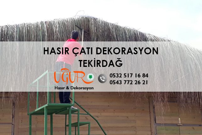 Hasır Çatı Dekorasyon Firmaları Tekirdağ, Hasır Çatı Dekorasyon Fiyatları Tekirdağ, Hasır Çatı Dekorasyon Tekirdağ, Hasır Çatı Dekorasyon Ürünleri Tekirdağ, Tekirdağ Hasır Çatı Dekorasyon, Tekirdağ Hasır Çatı Dekorasyon Firmaları, Tekirdağ Hasır Çatı Dekorasyon Fiyatları, Tekirdağ Hasır Çatı Dekorasyon Ürünleri